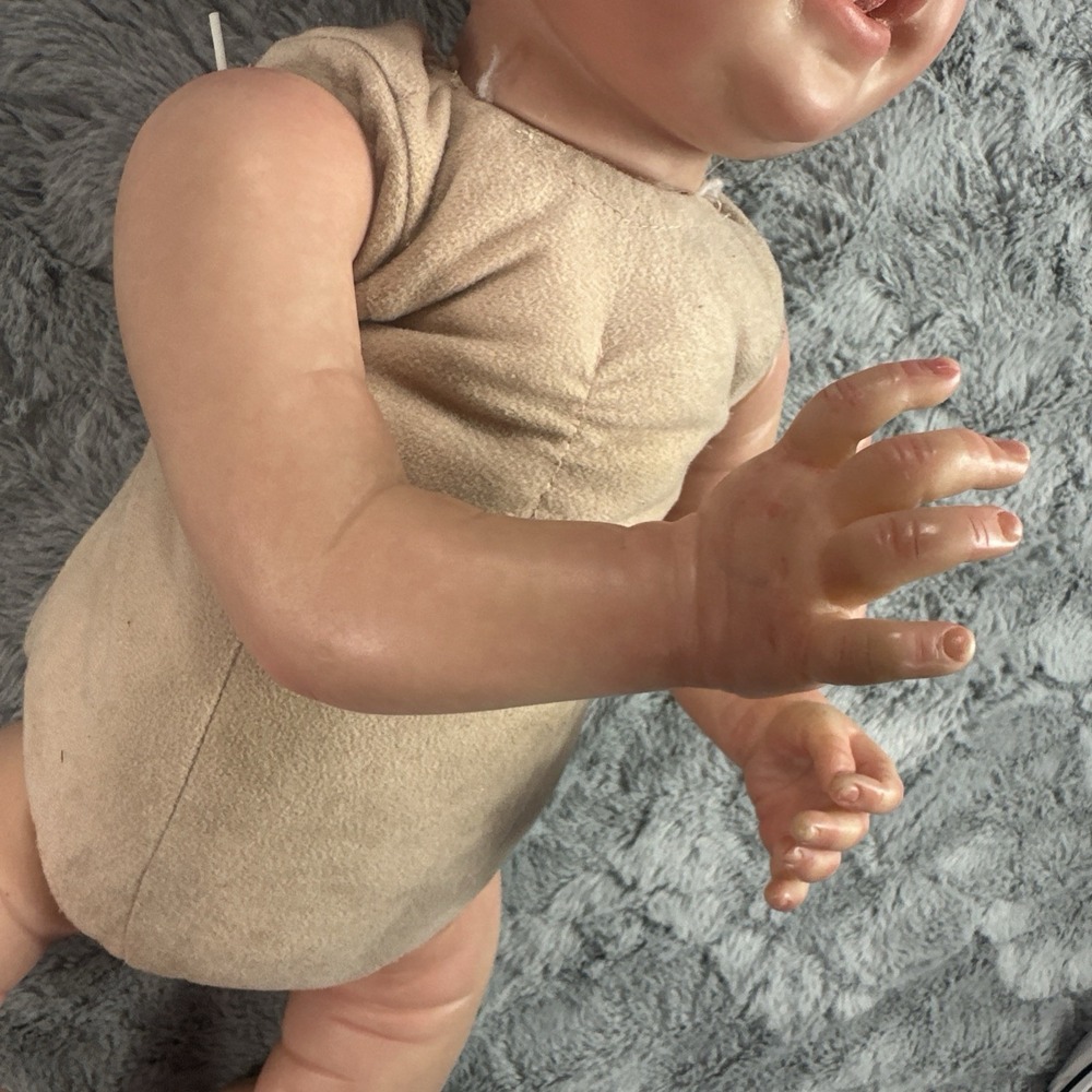 Reborn Baby Doll Aria by Ping Lao Handpainted Realistic weighted Vinyl Cloth - Picture 5 of 15